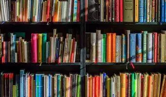 Journal Publications